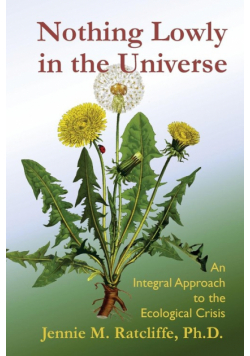 Nothing Lowly in the Universe