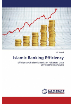 Islamic Banking Efficiency