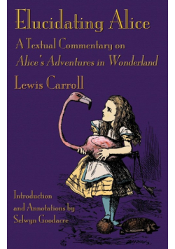 Elucidating Alice