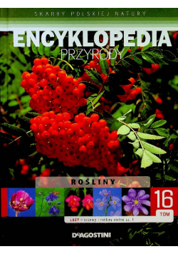 Encyklopedia przyrody Tom 16 Lasy krzewy i rośliny zielne Część 1