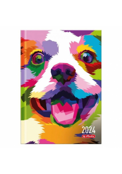 Kalendarz 2024 A5 dzienny Art pies HERLITZ