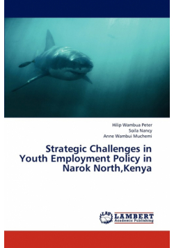 Strategic Challenges in Youth Employment Policy in Narok North, Kenya