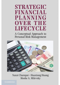 Strategic Financial Planning Over the Lifecycle