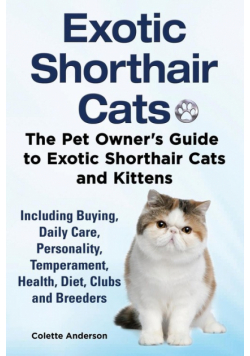 Exotic Shorthair Cats The Pet Owner's Guide to Exotic Shorthair Cats and Kittens  Including Buying, Daily Care, Personality, Temperament, Health, Diet, Clubs and Breeders