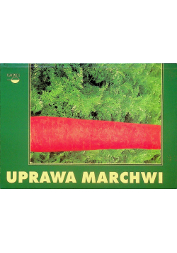 Uprawa marchwi