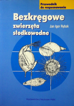 Bezkręgowe zwierzęta słodkowodne
