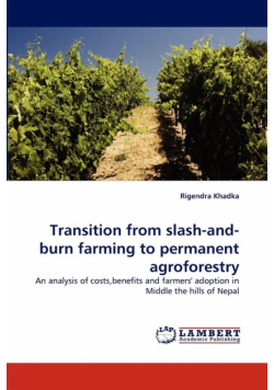 Transition from slash-and-burn farming to permanent agroforestry