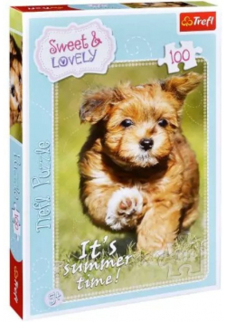 Puzzle Zabawa latem 100 Nowe