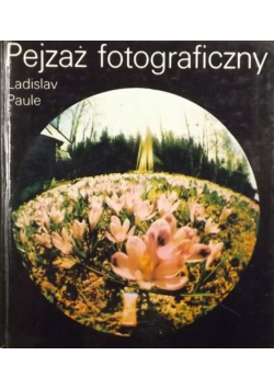 Pejzaż fotograficzny