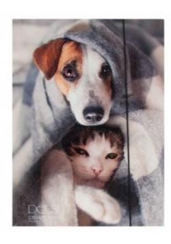 Teczka A4 z gumką Pets-17