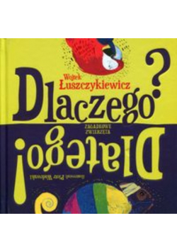 Dlaczego Dlatego