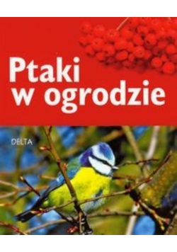 Ptaki w ogrodzie