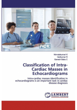 Classification of Intra-Cardiac Masses in Echocardiograms