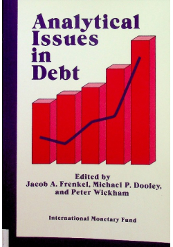 Analytical Issues in Debt
