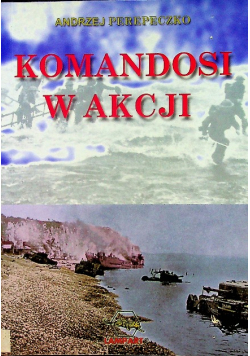 Komandosi w akcji