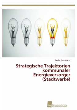 Strategische Trajektorien kommunaler Energieversorger (Stadtwerke)