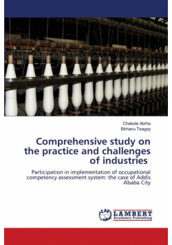 Comprehensive study on the practice and challenges of industries