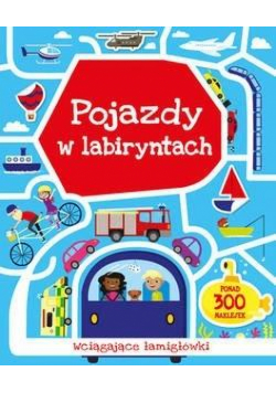 Pojazdy w labiryntach