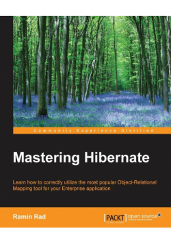 Mastering Hibernate