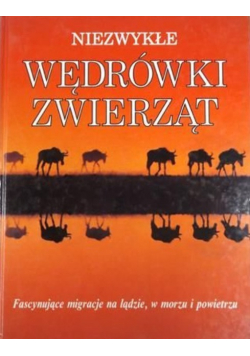 Niezwykłe wędrówki zwierząt