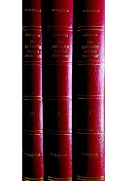 Opis historyczny kościołów parochialnych w dawnej dyecezyi poznańskiej Reprinty z ok 1858 . Tom I  do III