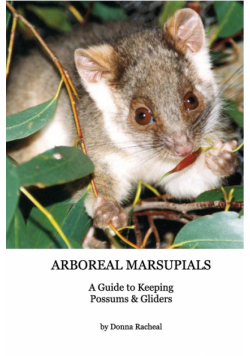 Arboreal Marsupials - Caring for Possums and Gliders