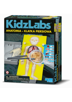 Anatomia Klatka piersiowa
