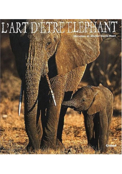 Lart detre elephant