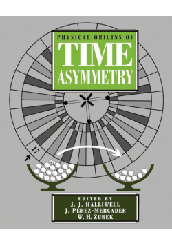 Physical Origins of Time Asymmetry