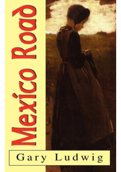 Mexico Road