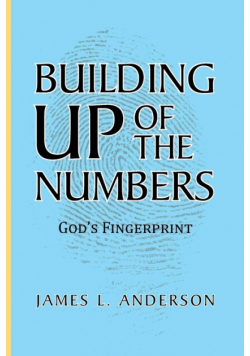Building Up of the Numbers