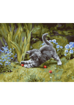 Malowanie po numerach - Zabawny kotek 40x50cm