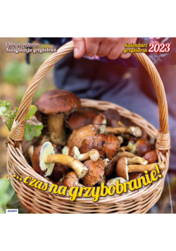 Kalendarz 2023 albumowy Por. Grzybiarza KAD6