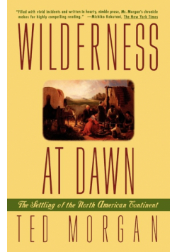 Wilderness at Dawn
