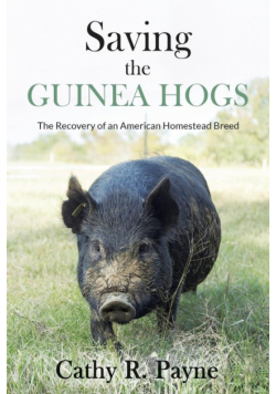 Saving the Guinea Hogs