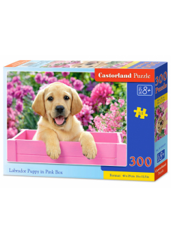 Puzzle Labrador Puppy in Pink Box 300