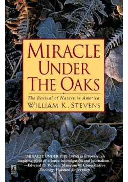 Miracle Under the Oaks
