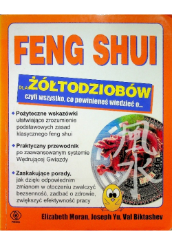 Feng shui