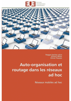 Auto-organisation et routage dans les réseaux ad hoc