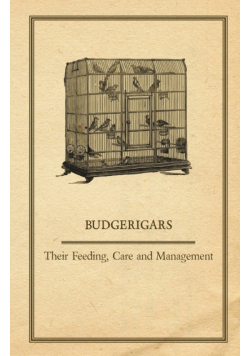 Budgerigars - Their Feeding, Care and Management