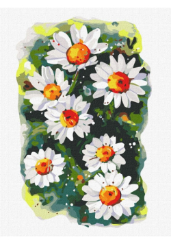 Malowanie po numerach - Kruche stokrotki 30x40cm