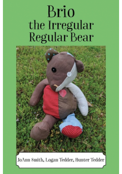 Brio, the Irregular Regular Bear