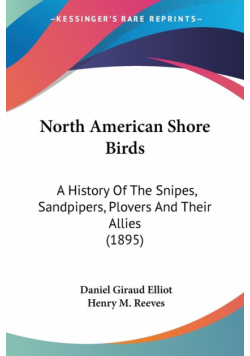North American Shore Birds