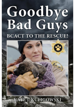 Goodbye Bad Guys