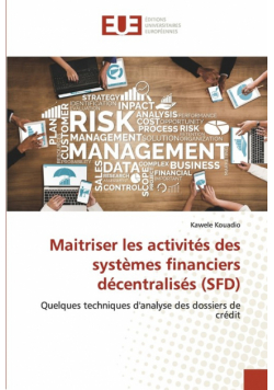 Maitriser les activités des systèmes financiers décentralisés (SFD)