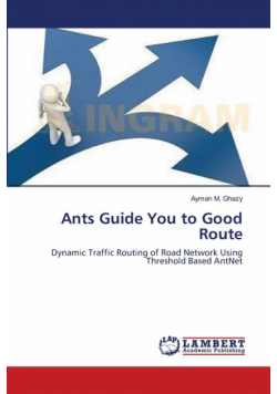 Ants Guide You to Good Route