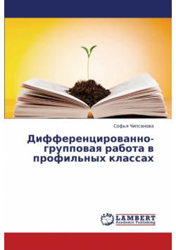 Differentsirovanno-Gruppovaya Rabota V Profil'nykh Klassakh