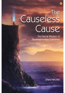 The Causeless Cause