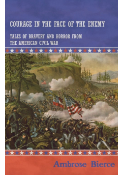 Courage in the Face of the Enemy - Tales of Bravery and Horror from the American Civil War
