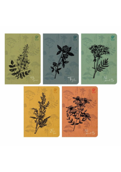 Zeszyt A5/80K linia By Nature - Herbs (10szt)
